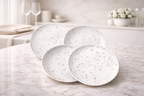 Terrazzo Pattern Porcelain Plate Set (4-Piece) with Chrome Rack