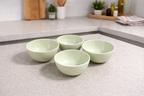 Sage Meadow 6-Piece Ceramic Soup Bowl Set