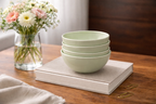 Sage Meadow 6-Piece Ceramic Soup Bowl Set