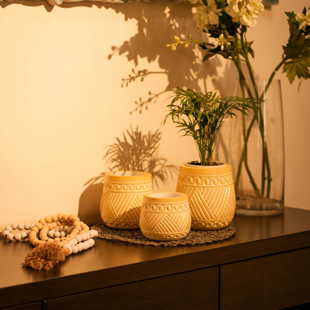 TIMBER KALA'S HANDCRAFTED POT SET FOR DECOR