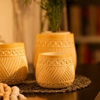 TIMBER KALA'S HANDCRAFTED POT SET FOR DECOR