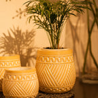 TIMBER KALA'S HANDCRAFTED POT SET FOR DECOR