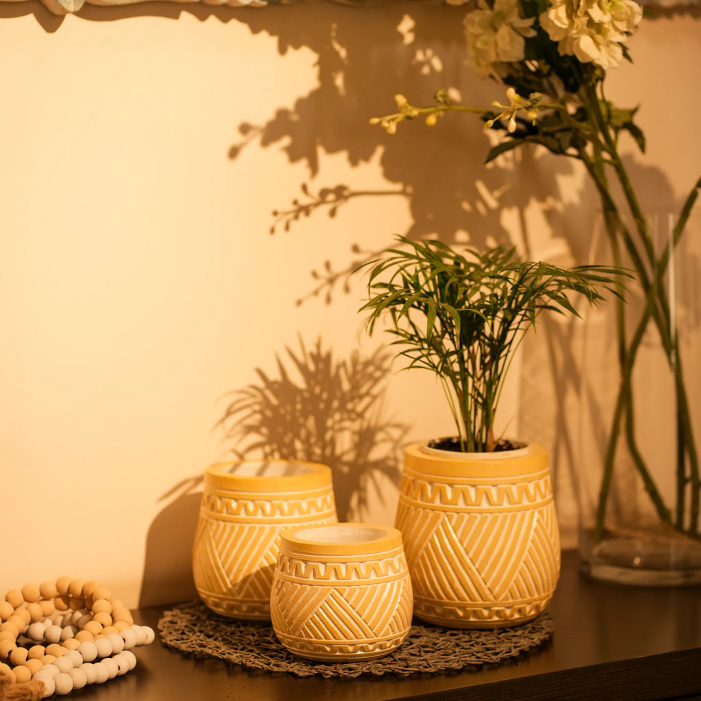 TIMBER KALA'S HANDCRAFTED POT SET FOR DECOR