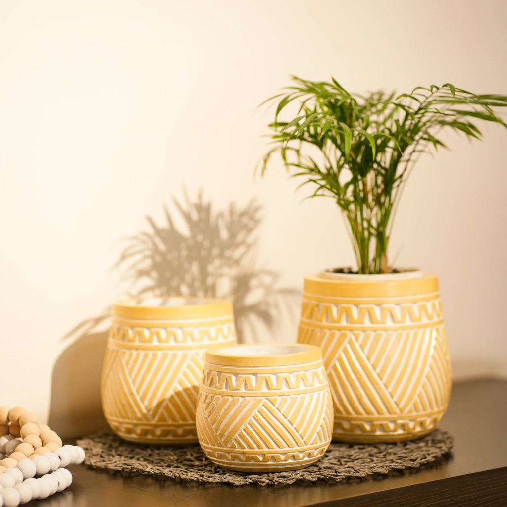 TIMBER KALA'S HANDCRAFTED POT SET FOR DECOR