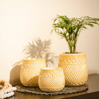 TIMBER KALA'S HANDCRAFTED POT SET FOR DECOR