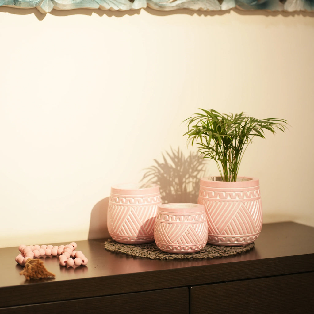 TIMBER KALA'S HANDCRAFTED POT SET FOR DECOR