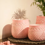 TIMBER KALA'S HANDCRAFTED POT SET FOR DECOR