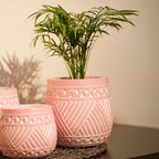 TIMBER KALA'S HANDCRAFTED POT SET FOR DECOR